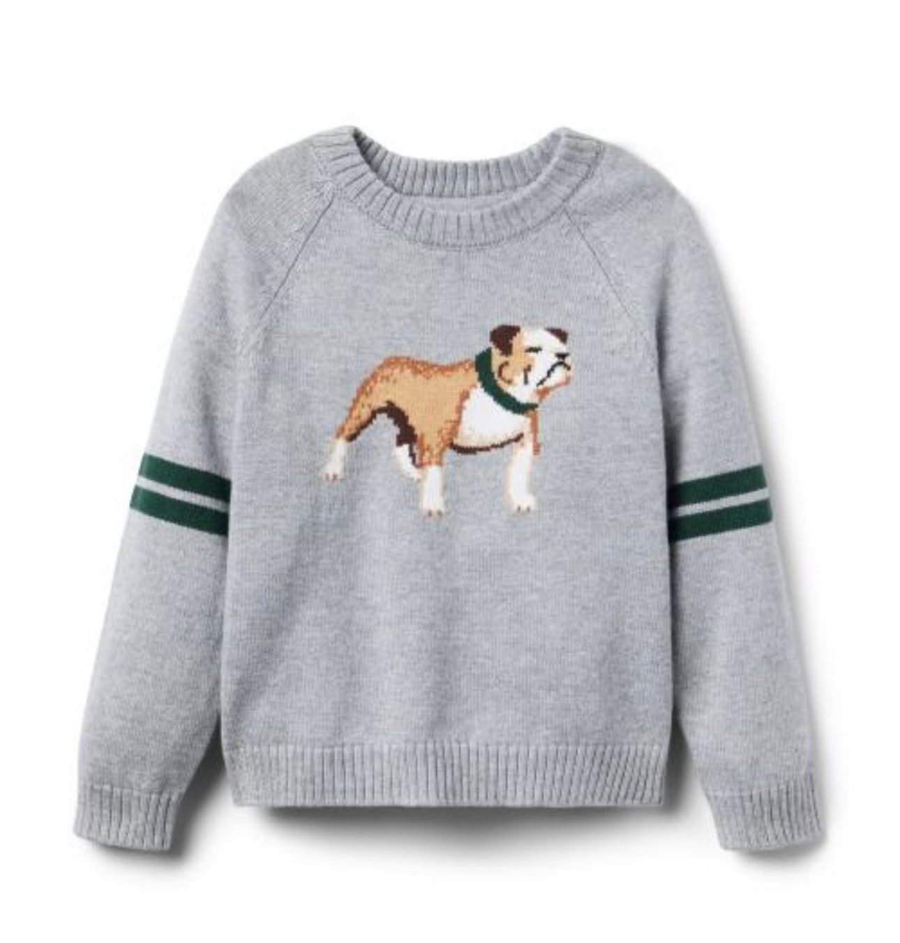 Bull Dog Sweater