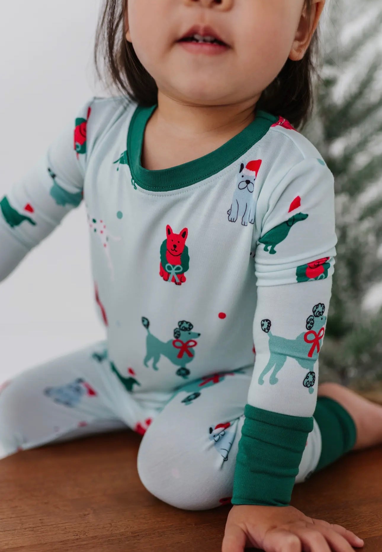 Bow Wow Holiday Pajama Set