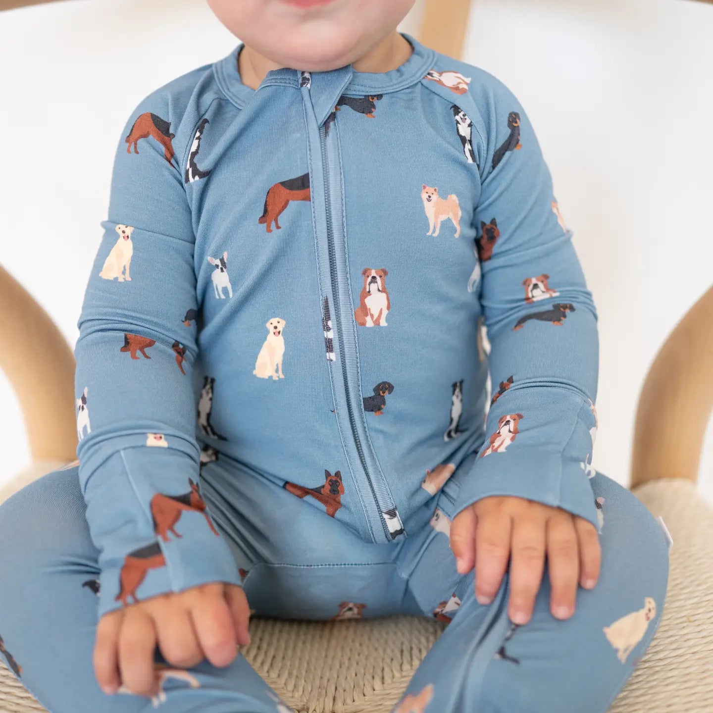 Blue Dog Zip Romper