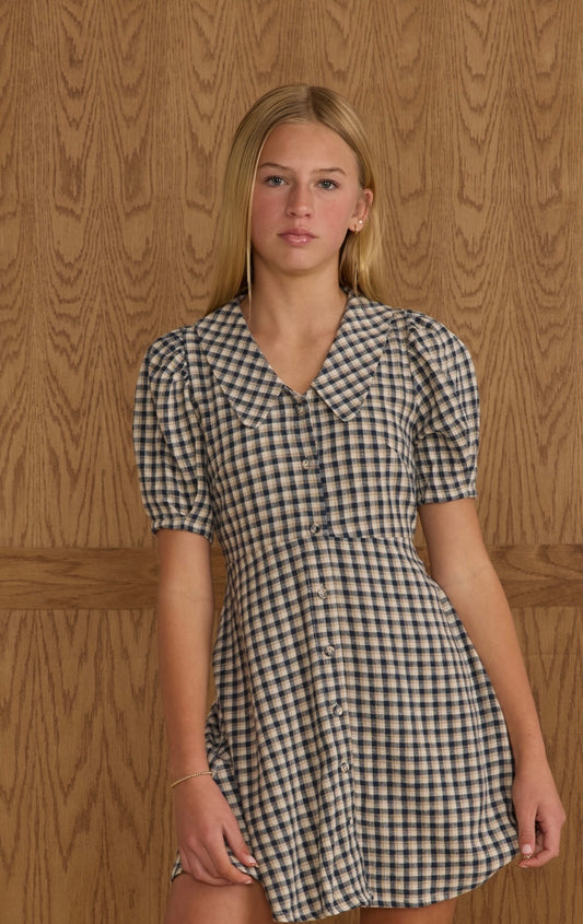 Navy Check Dress
