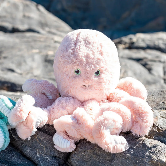 Cove Octopus