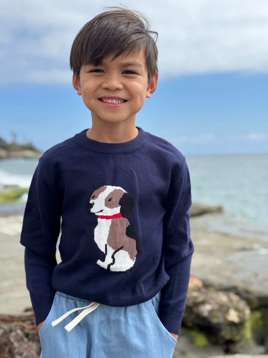 Henry Sweater