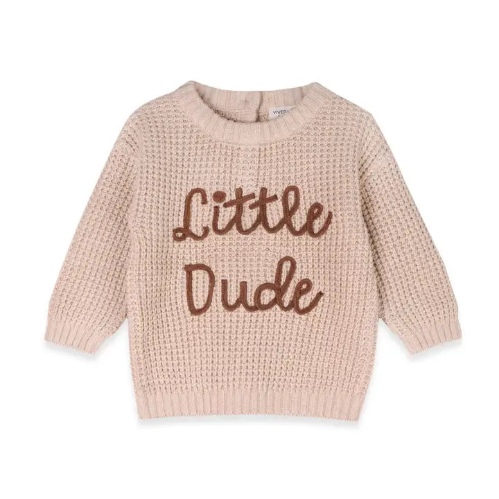 Little Dude Knit Sweater