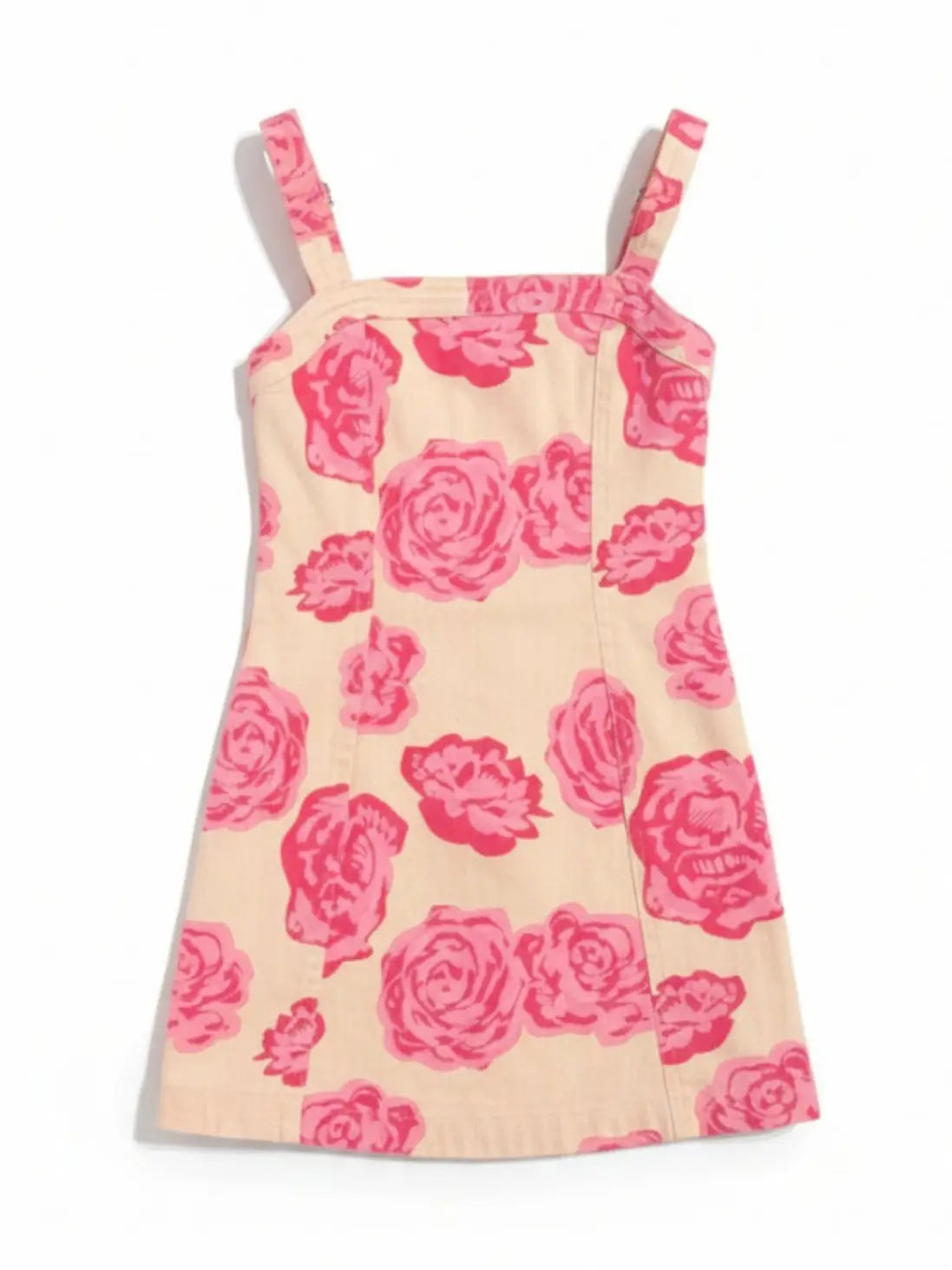 Wild Rose Denim Dress
